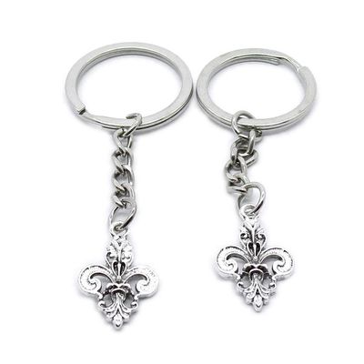 1 PCS Antique Silver Keyrings Keychains Key Ring Chains Tags Clasps AA461 Fleur De Lis Iris Lily
