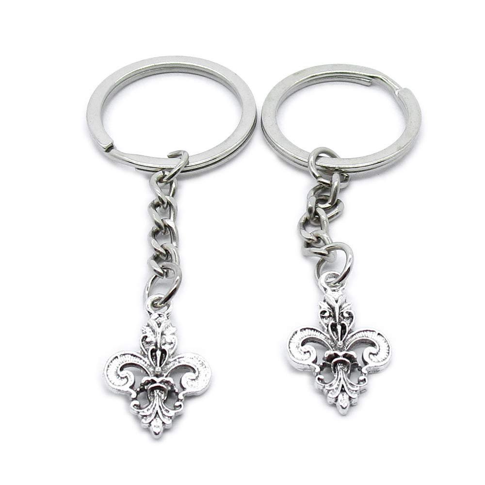 1 PCS Antique Silver Keyrings Keychains Key Ring Chains Tags Clasps AA461 Fleur De Lis Iris Lily