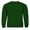 MA ONLINE Boys Long Sleeve School Uniform Wear Jumper Girls Crew Neck Plain Sweatshirt Bottle Green 11-12 Years view 2