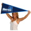 Harford College Fighting Owls Pennant view 4