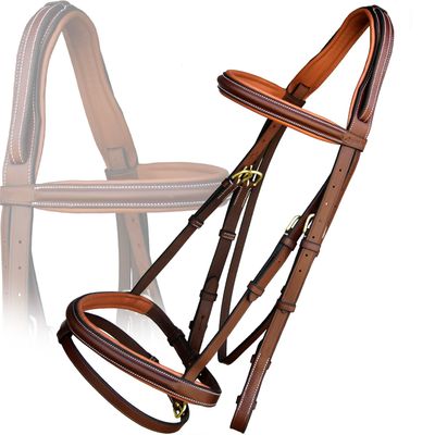 Exion English Jumping Hunter Bridle with Removable Flash Noseband, Rubber Reins & Brass Buckle | Soft Padded Raised Snaffle Browband & Noseband | Anti-Pressure Headpiece | Leather Horse Bridle