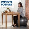 ProBody Pilates Yoga Ball Chair, Exercise Ball Chair with Base or Stand for Home Office Desk Sitting or Workout, Balance Ball & Stability Ball Seat for Back, abs (Black, 23-26 inches/58-65 cm) view 2