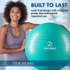 ProBody Pilates Exercise Ball - Multiple Sizes Gym Grade Balance Ball for Fitness, Workout, Pregnancy & Physical Therapy, Stability Yoga Ball Chair (Aqua, 75 cm) view 2