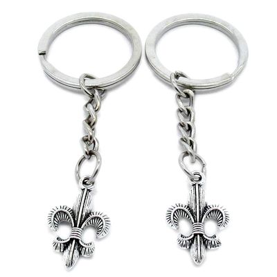 100 PCS Antique Silver Keyrings Keychains Key Ring Chains Tags Clasps AA461 Fleur De Lis Iris Lily