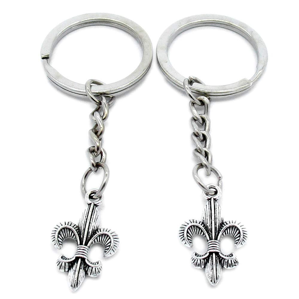 100 PCS Antique Silver Keyrings Keychains Key Ring Chains Tags Clasps AA461 Fleur De Lis Iris Lily
