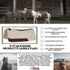5 Star Equine - 7/8" Thick Western Contoured Natural Pad - The All Around 30"x30". Great for Barrel Racing, Trail Riding, Roping, Etc. view 2