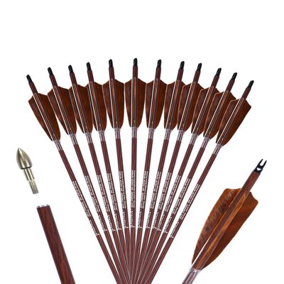 PANDARUS Archery 31-Inch Carbon Hunting Arrows, 4-Inch Turkey Feather Fletching with Replaceable Points, Targeting Practice Arrows Spine 350 for Recurve & Traditional Bows (12 Pack)