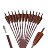 PANDARUS Archery 31-Inch Carbon Hunting Arrows, 4-Inch Turkey Feather Fletching with Replaceable Points, Targeting Practice Arrows Spine 350 for Recurve & Traditional Bows (12 Pack) view 1
