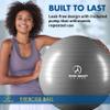 ProBody Pilates Exercise Ball - Multiple Sizes Gym Grade Balance Ball for Fitness, Yoga, Workout, Pregnancy & Physical Therapy (Silver, 85 cm) view 2