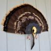 Do All Outdoors Dead Deer Iron Turkey Mount  Solid Steel Turkey Tail Mount  Turkey Mounting Display Kit for Gun and Bow Hunters  Perfect Decor for Hunters, Grey view 3