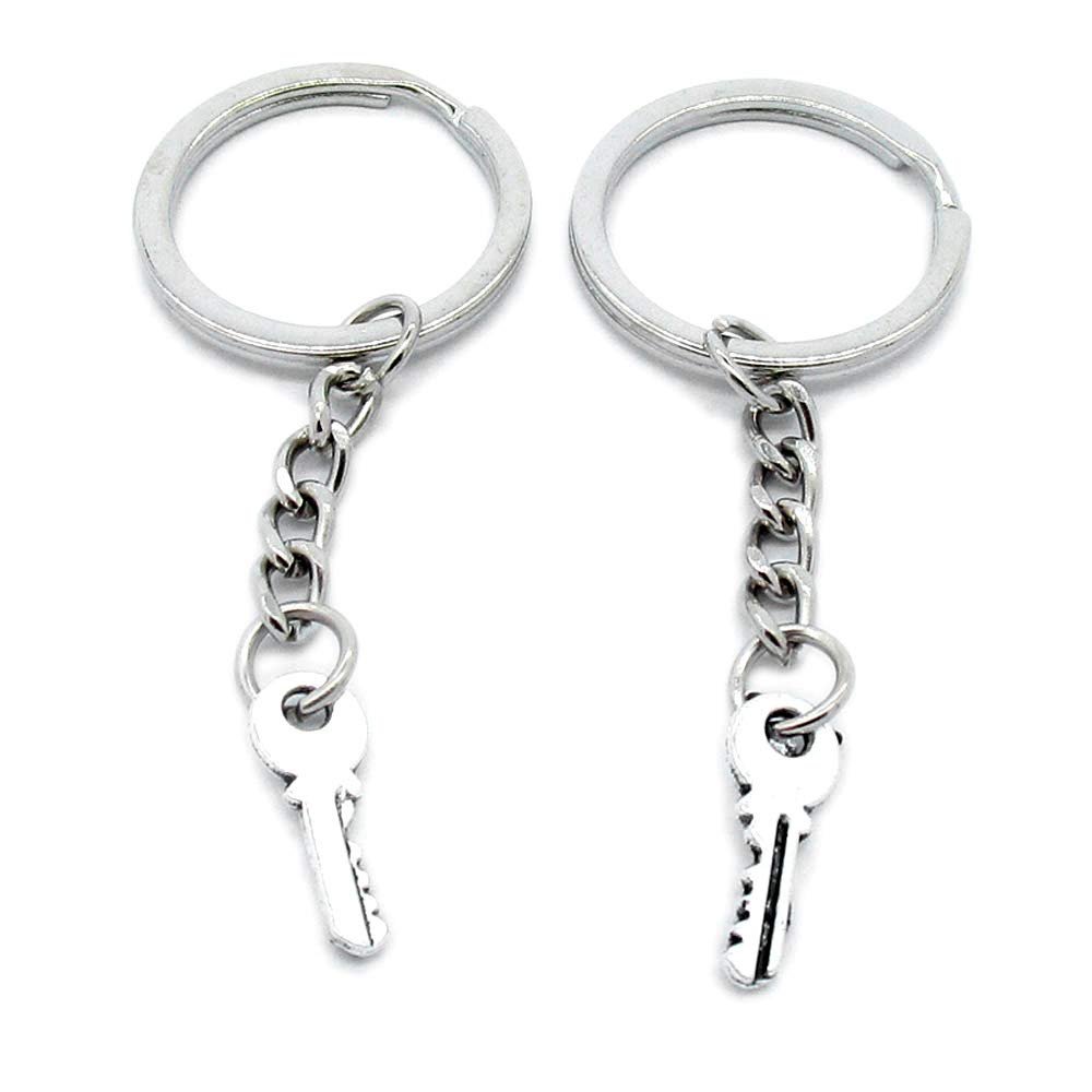 100 PCS Antique Silver Keyrings Keychains Key Ring Chains Tags Clasps AA461 Fake Skeleton Key