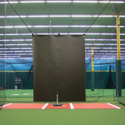 5 x 6 Heavy Duty Vinyl Baseball Batting Cage Backstop - (Black)