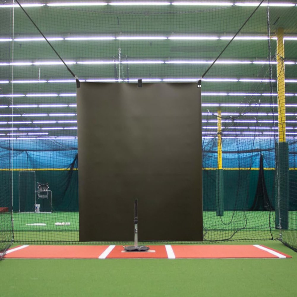 5 x 6 Heavy Duty Vinyl Baseball Batting Cage Backstop - (Black)
