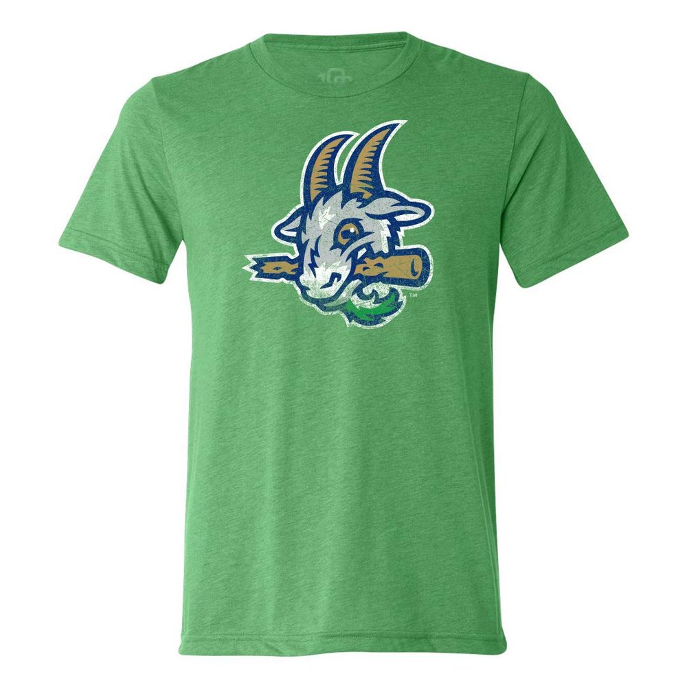 108 Stitches MiLB Hartford YardGoats Minor League Baseball Men's Vintage Tri-Blend T-Shirt (Medium) Green