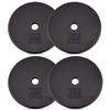 Yes4All 1-inch Cast Iron Weight Plates for Dumbbells  Standard Weight Plates (Combo 7.5lb x 4pcs), Z1ZJ view 1