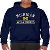 AH1161 - Michigan Wolverines Mesh Arch Hoodie - X-Large - Navy view 4