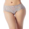 iB-iP Women's Underwear Sheer Lace See Through Light Mesh Transparent Hipster Panties, Size: 6, Light Grey view 1