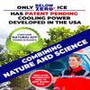 Below Zero Large Reusable Ice Packs for Coolers  Long Lasting Cooler Ice Pack Blocks, Leak-Proof Freezer Packs for Camping, Lunch Boxes & Travel  Large 14"x10" (2-Pack) view 2
