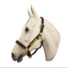 Horse Fare Products Brown with Chestnut Comfy Padded Leather Halter with Solid Brass Hardware & Customized Nameplate- Made in The USA (Horse) view 1