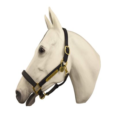 Horse Fare Products Black Comfy Padded Leather Halter with Solid Brass Hardware & Customized Nameplate- Made in The USA (Horse)