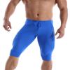 BRAVE PERSON Men's Mesh Yoga Trousers, Fitness Shorts, Cycling Pants D61-62 (XL / 32"-37", D62-Blue) view 2