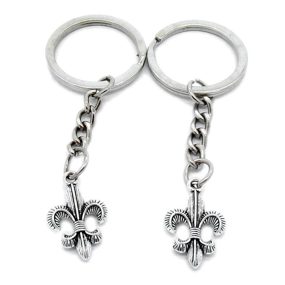 1 Item Metal Keychain Keyring Key Tags Chains Rings Jewelry Bag Charms M0LG5 Fleur De Lis Iris Lily