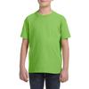AquaGuard Boys' Big Fine Jersey Short Sleeve Crewneck T-Shirt, Key Lime, XS view 1