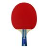 Butterfly Harimoto Tomokazu 1800 Kids Shakehand Table Tennis Racket | Japan Series | Good Speed and Spin with Superb Control | Recommended for Beginning Level Players, red/Black view 2