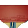 Butterfly Harimoto Tomokazu 1800 Kids Shakehand Table Tennis Racket | Japan Series | Good Speed and Spin with Superb Control | Recommended for Beginning Level Players, red/Black view 3