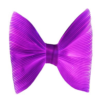 Gift2yo LED Light up Bow Tie 7 Colors Luminous Adjustable Bowtie for Wedding Party Gift Birthday Raves Costume Festival Fun EDM, White