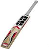 SS Kashmir Willow Leather Ball Cricket Bat, Exclusive Cricket Bat for Adult Full Size with Full Protection Cover Short Handel 2019 Series Master view 3