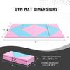 Outroad 8' x 4' x 2" Exercise Mat Thick Gymnastics Mat with Carrying Handles - Exercise Aerobics Mats Stretching Fitness view 3