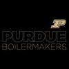 AH1163 - Purdue Boilermakers Modern Outline Hoodie - Large - Black view 2
