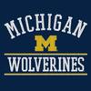AH1161 - Michigan Wolverines Mesh Arch Hoodie - 2X-Large - Navy view 2