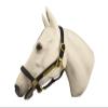 Horse Fare Products Black Comfy Padded Leather Halter with Solid Brass Hardware & Customized Nameplate- Made in The USA (Pony) view 1
