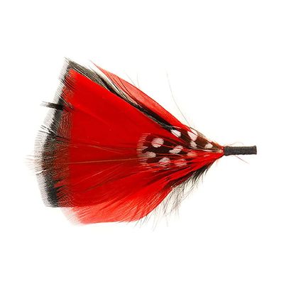 Austin Accent Inc. Red Hat Feather