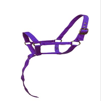 Equitem Nylon Foal Halter with Detachable 13" Catch (Purple)