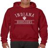 AH1161 - Indiana University Hoosiers Mesh Arch Hoodie - Medium - Cardinal view 2