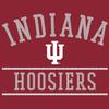 AH1161 - Indiana University Hoosiers Mesh Arch Hoodie - Medium - Cardinal view 3
