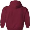 AH1161 - Indiana University Hoosiers Mesh Arch Hoodie - Medium - Cardinal view 4