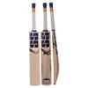 SS Cannon Kashmir Willow Tennis Ball Cricket Bat Exclusive Cricket Bat for Adult Full Size with Full Protection Cover Short Handel Latest 2019 Series view 1