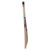 SS Cannon Kashmir Willow Tennis Ball Cricket Bat Exclusive Cricket Bat for Adult Full Size with Full Protection Cover Short Handel Latest 2019 Series view 4
