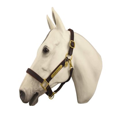 Horse Fare Products Brown with Chestnut Comfy Padded Leather Halter with Solid Brass Hardware & Customized Nameplate- Made in The USA (Oversize)