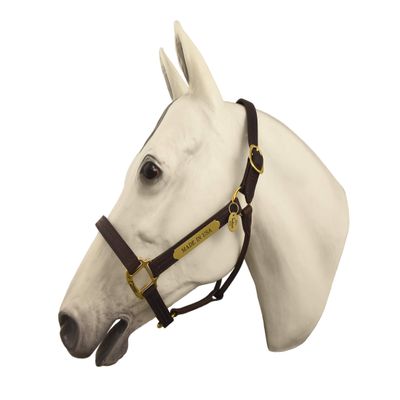 Horse Fare Products Fixed Leather Halter with Solid Brass Hardware & Customized Nameplate- Made in The USA (Oversize)