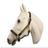 Horse Fare Leather Halter with Solid Brass Hardware & Customized Nameplate- Made in The USA (Horse) view 1
