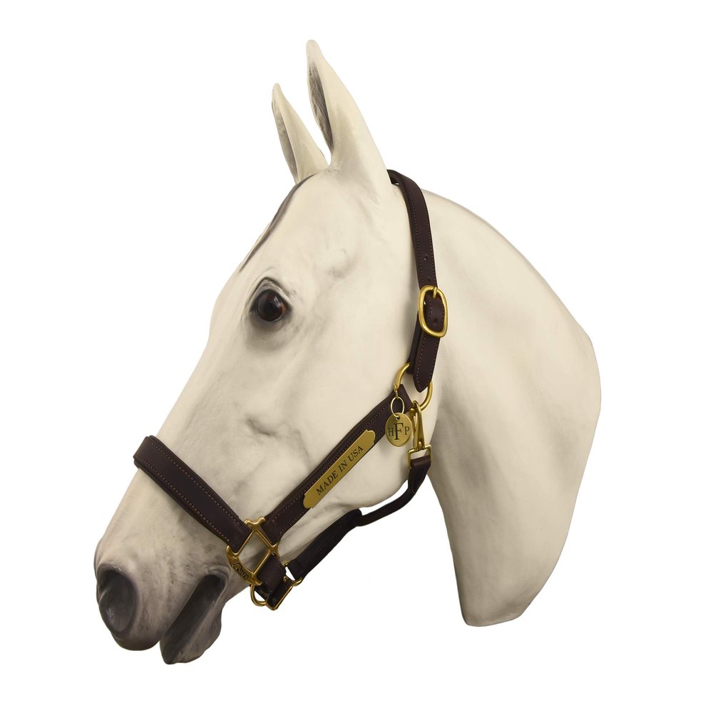 Horse Fare Products Brown Comfy Padded Leather Halter with Solid Brass Hardware & Customized Nameplate- Made in The USA (Horse)