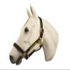Horse Fare Products Brown Comfy Padded Leather Halter with Solid Brass Hardware & Customized Nameplate- Made in The USA (Horse) view 1