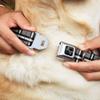 Dog Collar Seatbelt Buckle Tartan Plaid3 Gray Black White Red 18 to 32 Inches 1.5 Inch Wide view 2