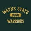 AH20 - Wayne State Warriors Athletic Arch HOODIE - 2X-Large - Forest view 2