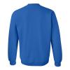 AW01 - FGCU Eagles Basic Block CREW SWEATSHIRT - Small - Royal view 4